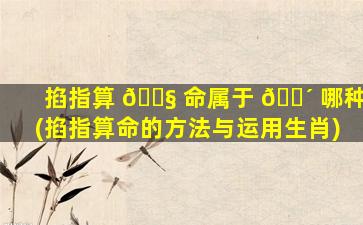 掐指算 🐧 命属于 🌴 哪种(掐指算命的方法与运用生肖)